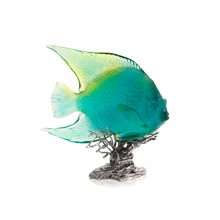 Load image into Gallery viewer, Maya Turquoise Royal Angelfish
