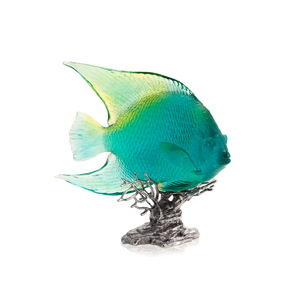Maya Turquoise Royal Angelfish
