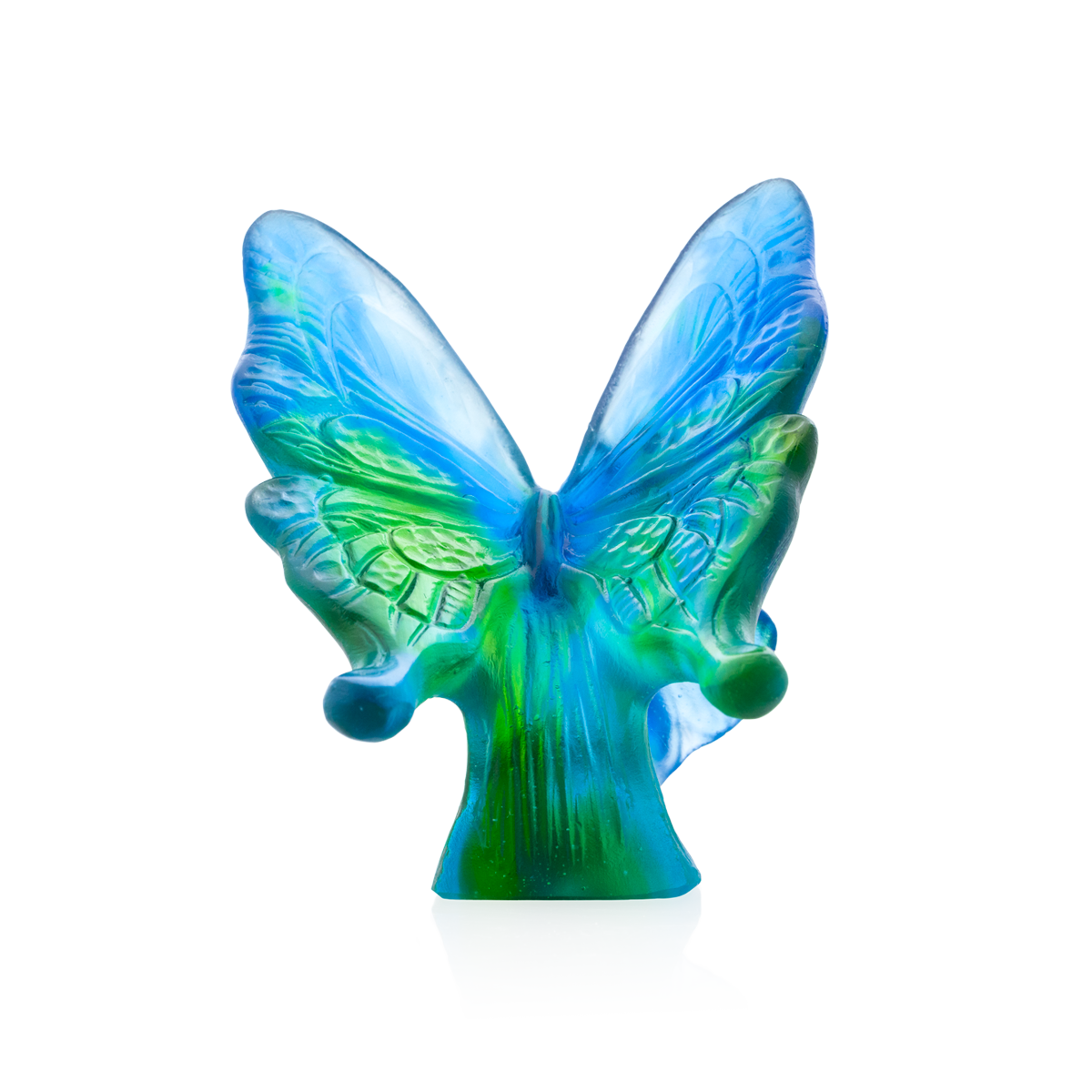 blue-green-butterfly-daum-inc