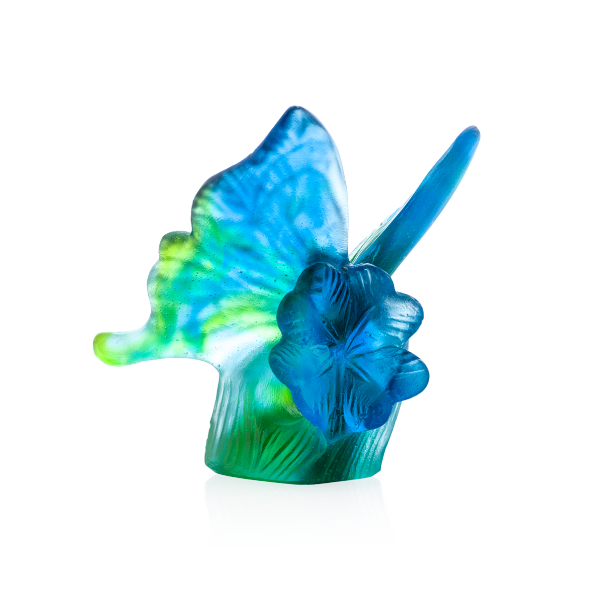 blue-green-butterfly-daum-inc