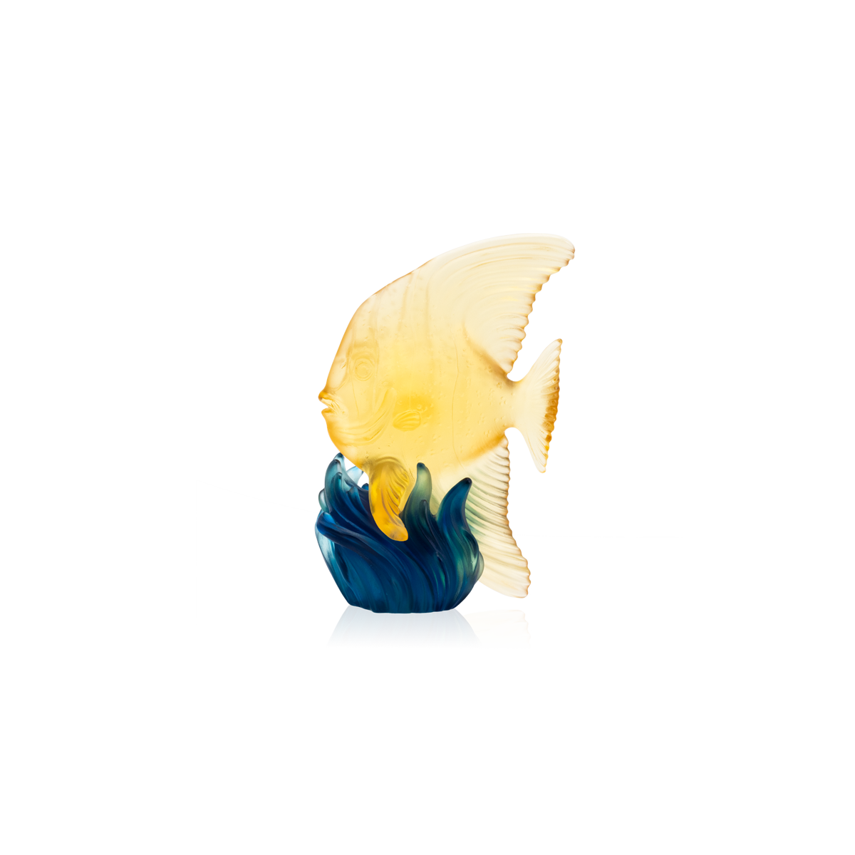 Fish – Daum Inc