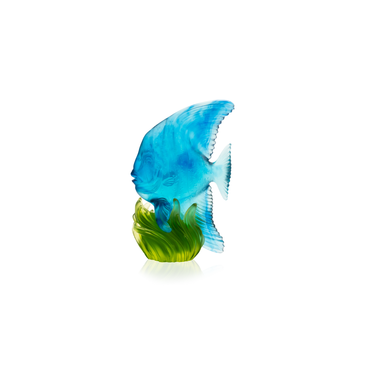 Fish – Daum Inc