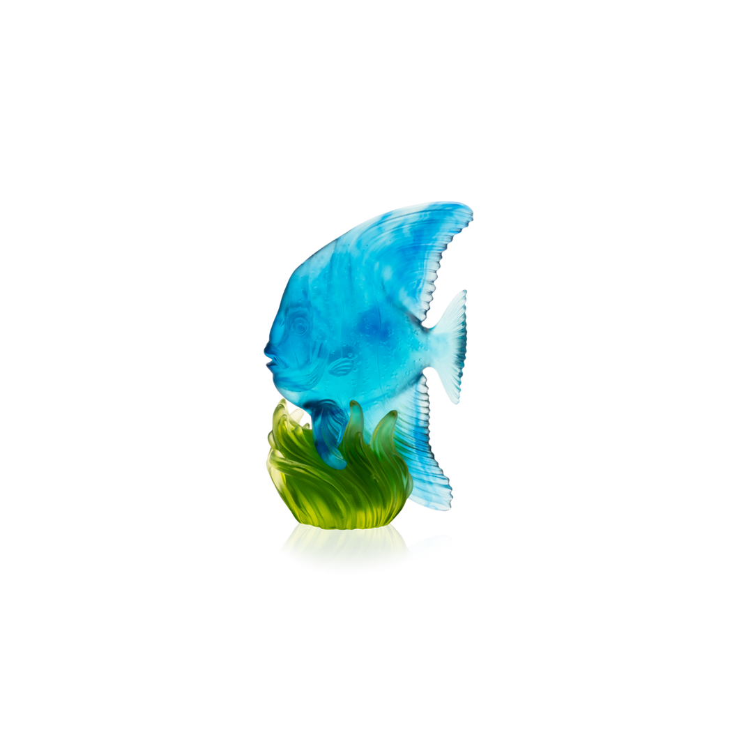 Maya Medium Blue & Green Platax Fish