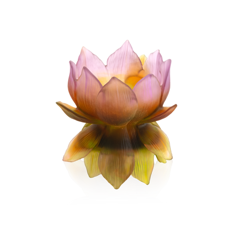 Medium Vase - Jardin de Lotus