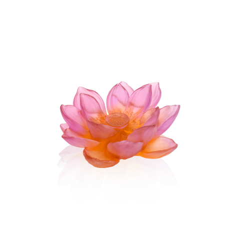 Amber Pink Décorative Flower - Jardin de Lotus