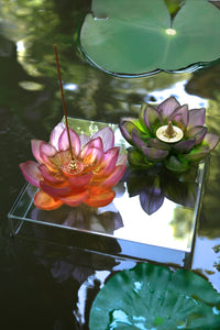 Amber Pink Incense Holder - Jardin de Lotus