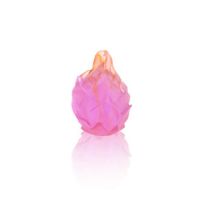 Dragon Fruit - Tutti Frutti
