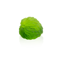 Load image into Gallery viewer, Sugar apple - Tutti Frutti