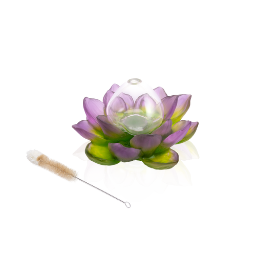 Green Pink Soliflore - Jardin de Lotus