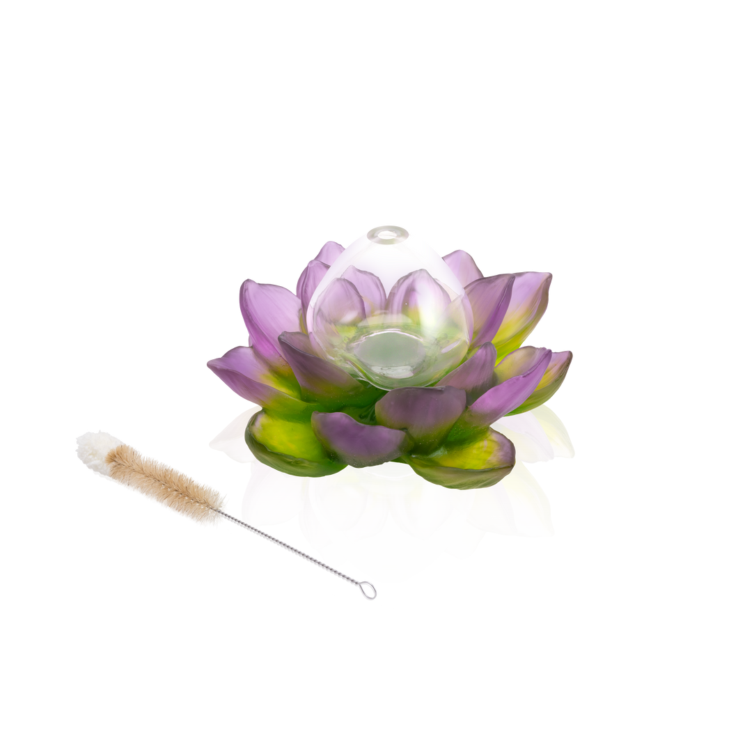 Green Pink Soliflore - Jardin de Lotus
