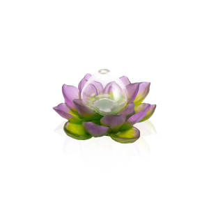 Green Pink Soliflore - Jardin de Lotus