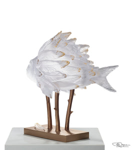 Punky Fish White & Gold by PATRICK ROUGEREAU