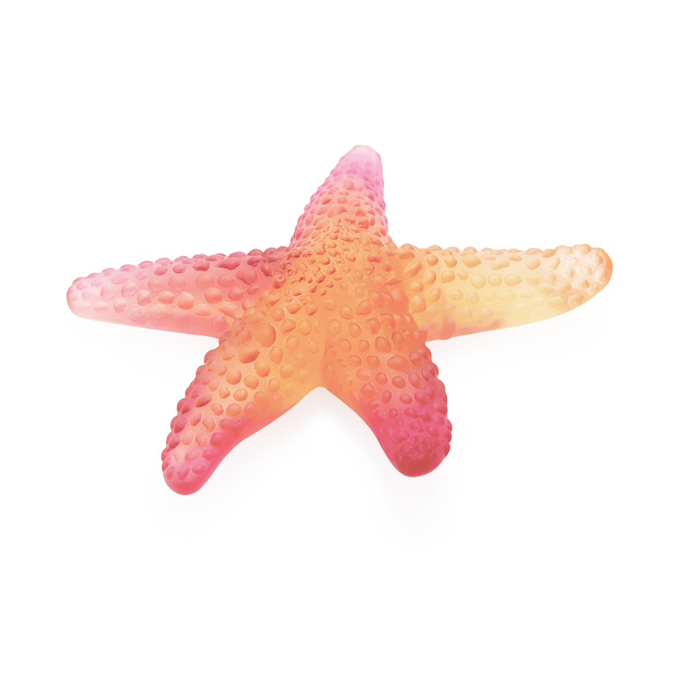 Coral Sea Amber Red Starfish