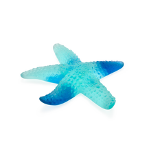 Load image into Gallery viewer, Coral Sea Blue Starfish