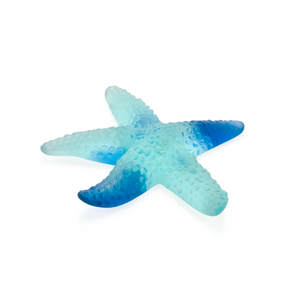 Coral Sea Blue Starfish