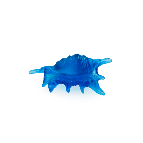 Coral Sea Small Shell