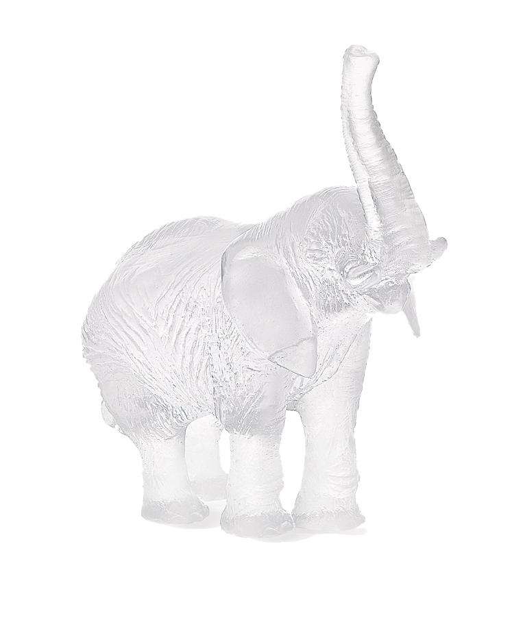 White Elephant by Jean-François Leroy