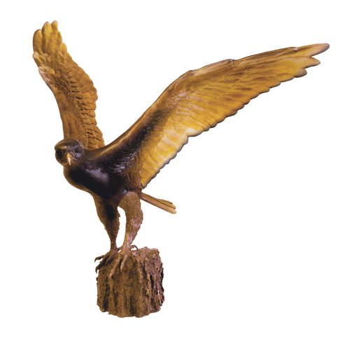 The Hawk Flight by Madeleine van der Knoop 75 ex