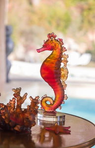 Coral Sea Amber Red Seahorse