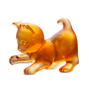 Mini Kitten in Amber