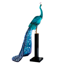 Load image into Gallery viewer, Tropical Peacock by Madeleine van der Knoop