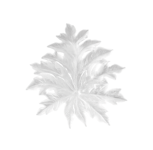 Small Long-Fixture Bornéo Wall Leaf in White by Emilio Robba
