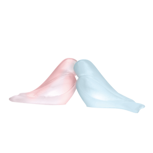 Love Birds in Blue & Pink by Pierre-Yves Rochon